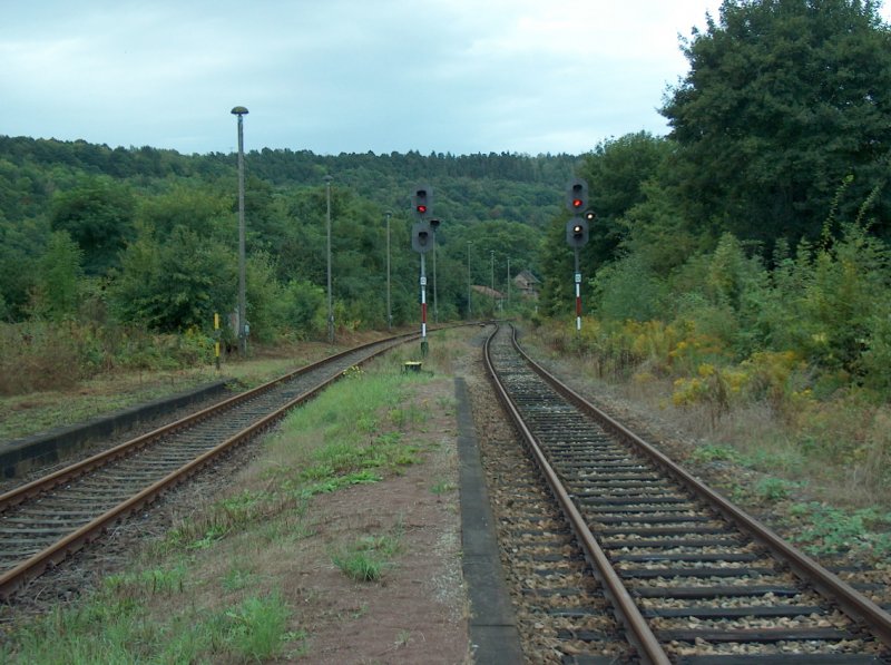 Seit Dezember 2006 endet der Zugverkehr auf der Unstrutbahn genau hier, im Bf Nebra. Die Gleise fhren weiter ber Roleben nach Artern. Fr den Zugverkehr bis Wangen (Arche Nebra) setzt sich zur Zeit die IG Unstrutbahn e.V. stark ein; 07.09.2008