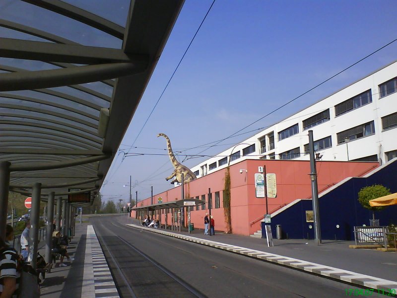 Seit einigen Tagen steht ein Dinosaurier am Potsdam Hbf. (17.04.2007)