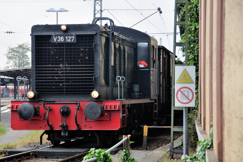Seit Juni 1984 ist der Museumszug des Eisenbahnmuseums Neustadt zwischen Lambrecht und Elmstein auf dem  Kuckucksbhnel  im Einsatz. Zubringer von Neustadt/Weinstrasse ist wie so oft, am Muttertag 2009, V 36 127 mit historischem Wagenpark. 