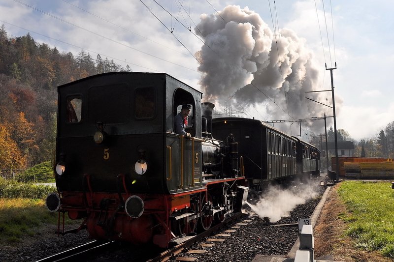 Sihlwald - Der Dampfsonderzug mit der E 3/3 Nr.5 fhrt zur ersten Fahrt nach Zrich Wiedikon. Fr den Lokfhrer und den Heizer ist es eine anstrengende Arbeit, aber sie machen es mit sehr viel Freude, wie die Eisenbahnfans beobachten konnten. 26.10.2008
