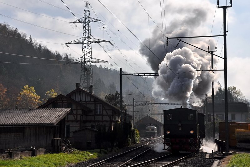 Sihlwald - Die E 3/3 Nr. 5 macht ihrem Namen alle Ehre und erfreut alle Eisenbahnerherzen mit ihrer mchtigen Dampfwolke. 26.10.2008