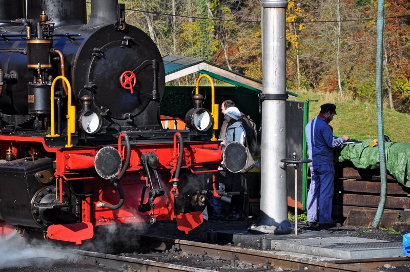Sihlwald - Schnell ein Mittagessen im Stehen fr den Lokfhrer, die  Schnaaggi-Schaaggi  hat mehr Zeit fr Essen ( Kohle ) und Trinken ( Wasser ). 26.10.2008