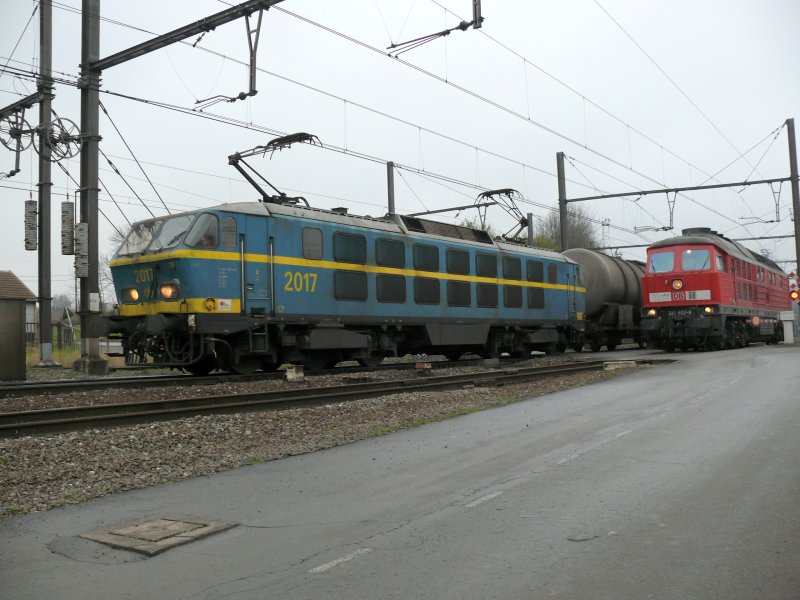 SNCB-Lok 2017 mit GZ am Haken und Ludmilla 241 802-8 laufen Gleis an Gleis in den Bahnhof Montzen ein. Aufgenommen am 15/11/2008.