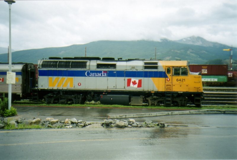 Sommer 2004 in Jasper