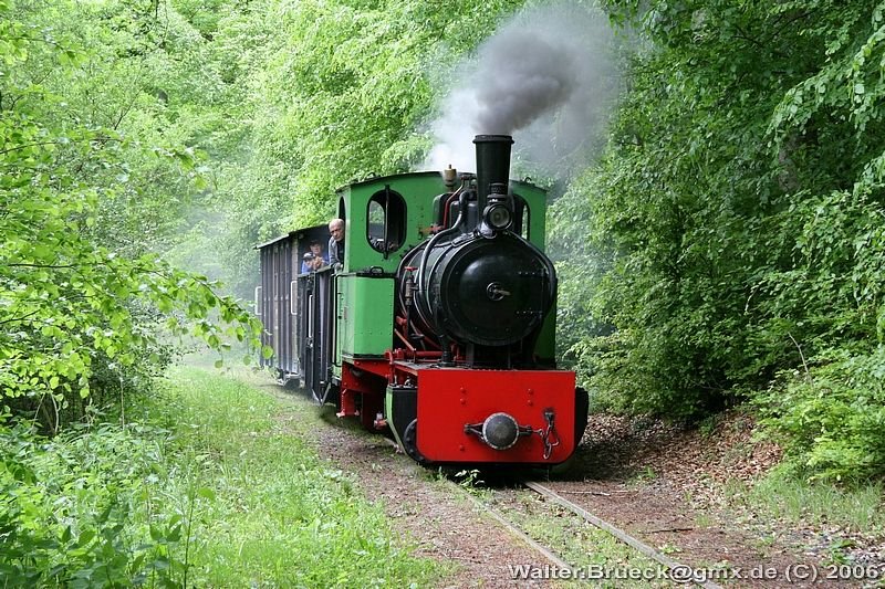 Sonderfahrtag (CDU) beim Feld- und Grubenbahnmuseum Fortuna am 21.05.2006: Der Zug mit Lok 1 durchf�hrt den unteren Teil des Waldst�cks.