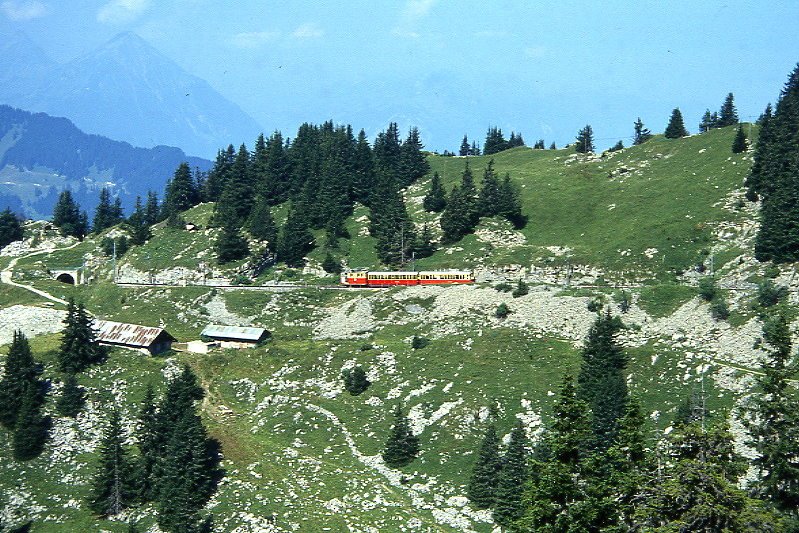 SPB Personenzug 640a von Schynige Platte nach Wilderswil am 05.08.1995 bei Alp Bigelti mit He 2/2 14 - B 24 - B 23.
