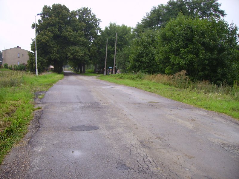 Spuren der Stillgelegten Strecke Brynek - Grzybowice. (Sommer 2008)