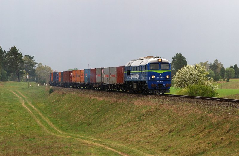 ST44 - 1081 (PKP Cargo) mit Gterzug bei Lipniak (06.05.2009)