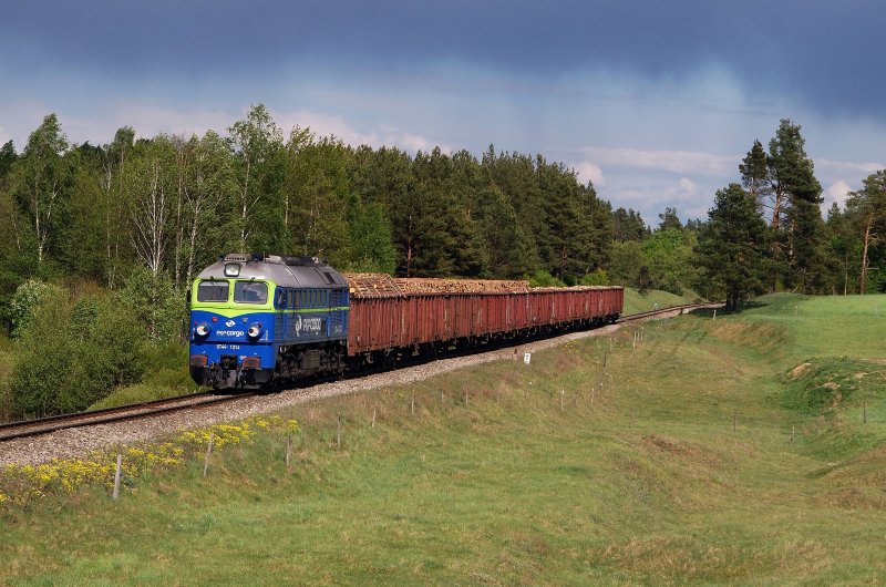 ST44 - 1214 (PKP Cargo) mit Gterzug bei Kaletnik (13.05.2009)