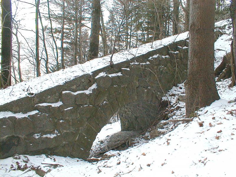 Standseilbahn Bad Ragaz-Wartenstein,hier ein Stck der Bahntrasse
im oberen Teil der Strecke.Der Hhenunterschied betrug 277 m Streckenlnge 790m (Archiv P.Walter)