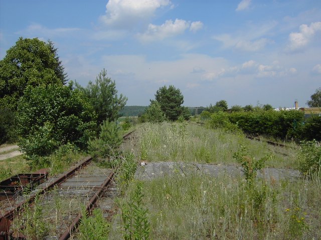 stillgelegter Bahnhof Gross Gastrose, Bahnsteig 2 - Richtung Guben, Zustand 14.06.2007, Bahnsteig 1 befindet sich rechts im Bild hinter der Hecke auf jetzt Privatgelnde.