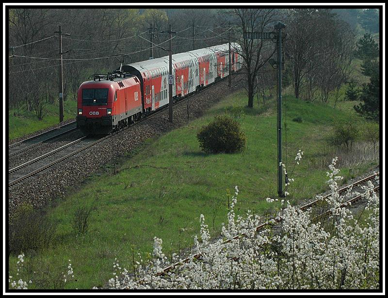Stockwagengarnitur gezogen von einer 1116 zwischen Gnserndorf und Strasshof am 23.4.2006
