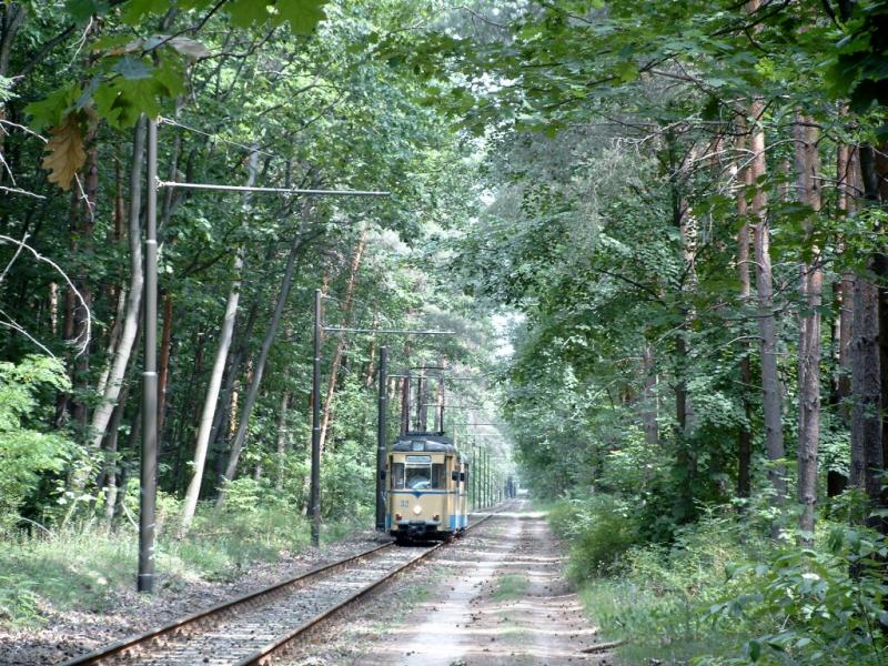 Stra�enbahn auf der  Schnellfahrstrecke  zwischen Rahnsdorf und Woltersdorf. Im Walde d�rfen sie auf 60 km/h aufdrehen.
29.6.03