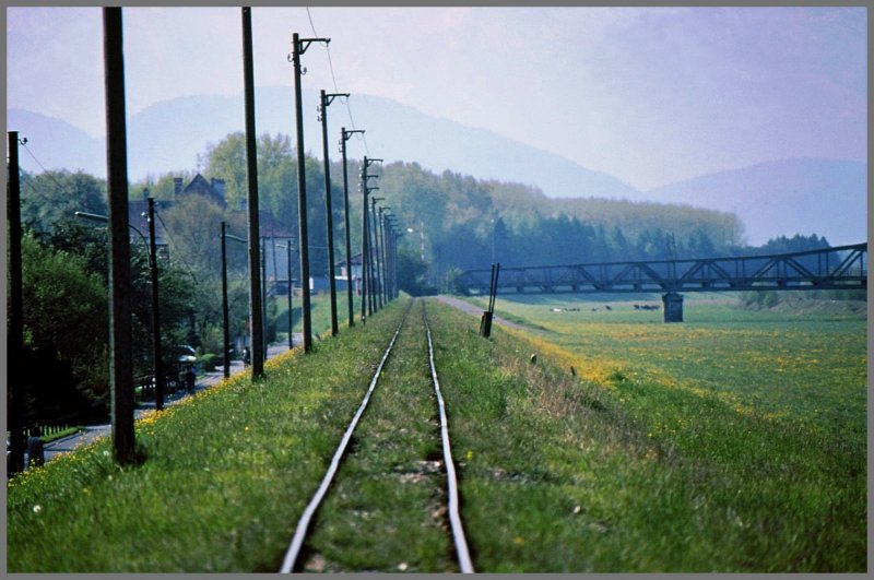Strecke der IRR auf Vorarlberger Seite mit der gemeinsamen Strassen/Bahnbrcke ber den Rhein nach Au SG. Im Vorland, das bei Hochwasser auch mal unter Wasser steht, weiden jetzt die Khe. (Archiv 05/91)