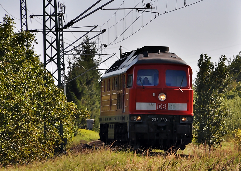 Stunden spter, Lzv 232 330 aus Richtung Grimmen, kurz vorm Abzwg. Stralsund/Srg am 24.08.09