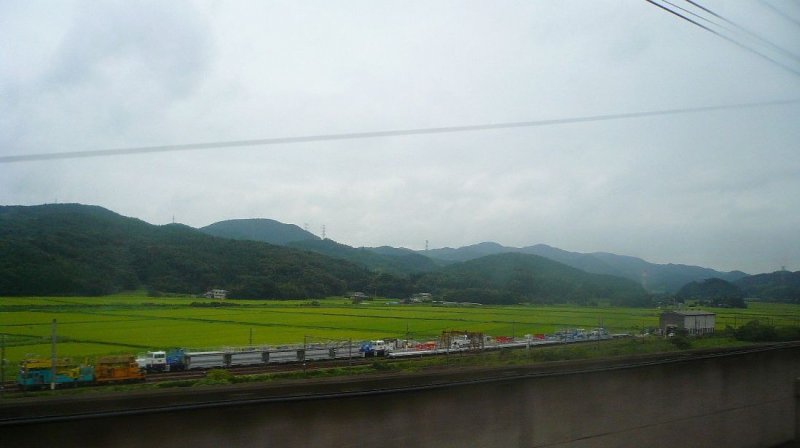Tôhoku-Shinkansen. Von Zeit zu Zeit führt eine Abzweigung zum Erdboden hinab, wo die Bau- und Unterhaltszüge tagsüber abgestellt sind; hier inmitten üppig grüner Reisfelder. Südlich von Sendai, 23.August 2008.