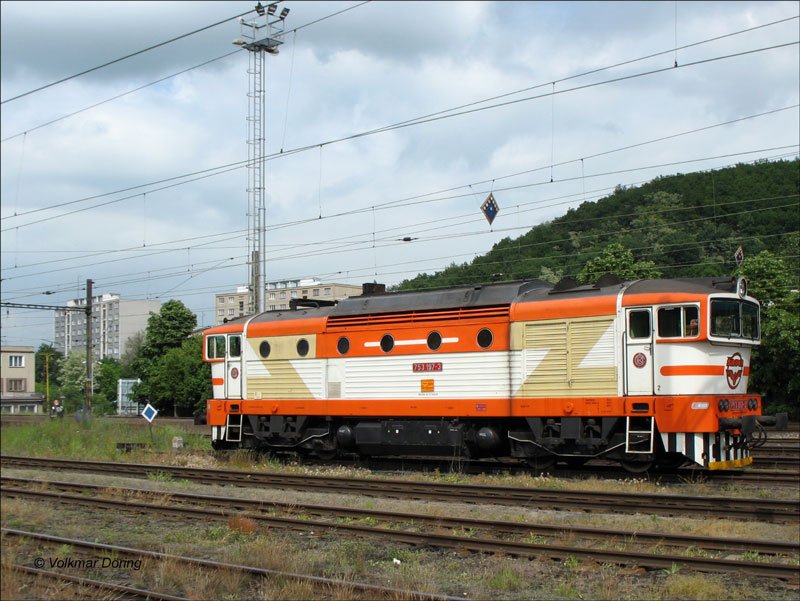  Taucherbrille  753 197 in Bilina (Bilin) - 06.06.2006 
