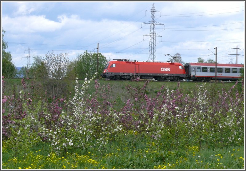 Taurus 1116 205-0 hat mit EC 160 Vorarlberg soeben den Rhein und die Grenze Lichtenstein - Schweiz �berquert und f�hrt in K�rze in Buchs SG ein. (02.05.2008)