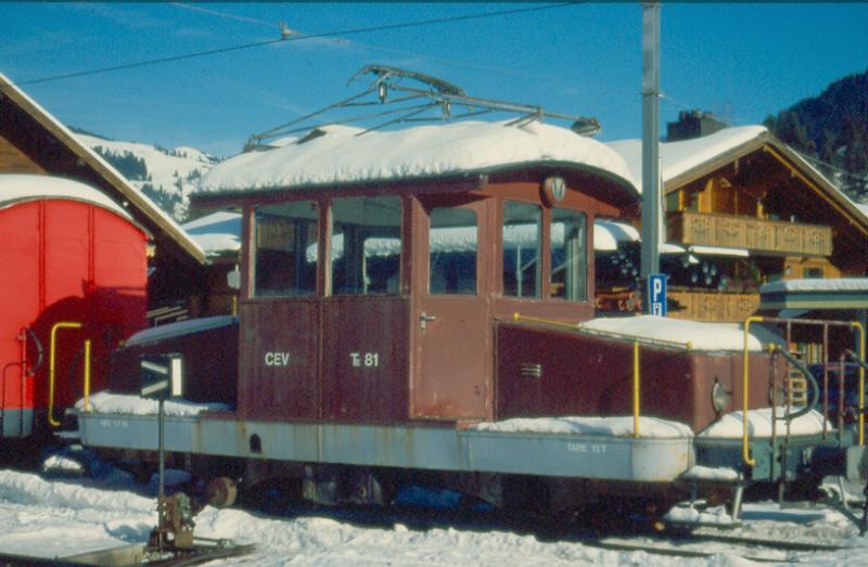 Te 2/2  81  ( cev )
01.02.04 Gstaad