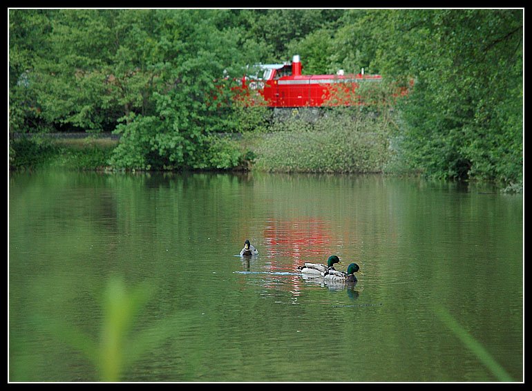 Teichidylle, aufgenommen am 26.5.2006 in Gleinsttten. Im Hintergrund ist GKB 1700.1 zu sehen.