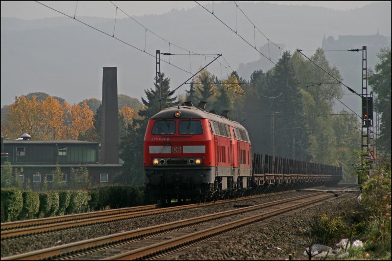 Teleaufnahme auf die 225 081 und 225 008.