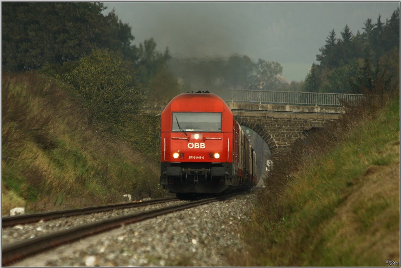 Teleaufnahme der Diesellok 2016 049, welche mit einem Holzzug von Zeltweg nach Frantschach unterwegs ist.
1.10.2009
