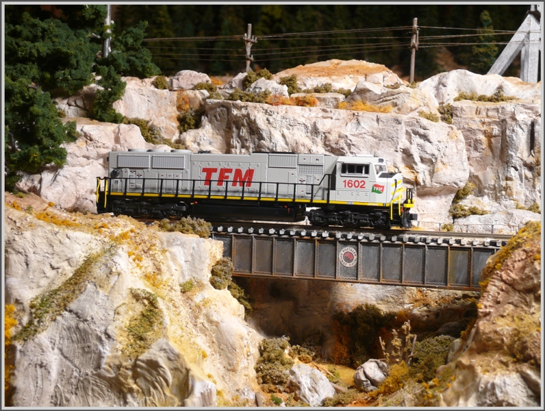 TFM 1602 auf einem Anschlussgleis zur Monarch Mine in Utah. (29.09.2009)