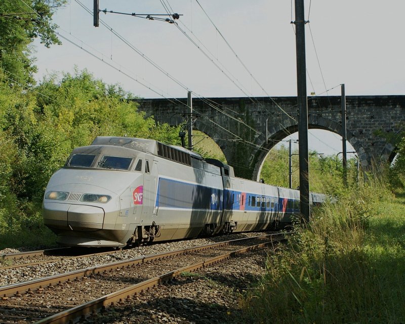 TGV 6568 Genve - Paris zwischen Satigny und Russin am 5. September.