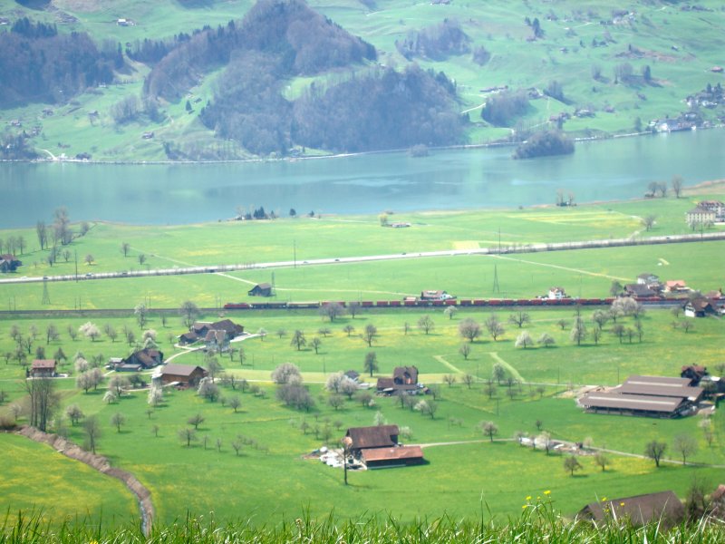 The Red Train mit BR 185 zwischen Steinen und Schwyz am 20.04.2008