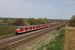 420 434 und 420 462 aus Petershausen kommend am 7. April 2024 bei Vierkirchen.