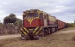 Argentinien 2005-Bahnhof Schneidewind: Der Gterzug durchfhrt den Bahnhof mit Hchstgeschwindigkeit von gemtlichen 40km/h in Richtung Metan/Salta und hat ein auf der Stecke grasendes Pferd