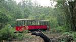 Pemberton (Northcliffe)-Tram, West-Australien__Zwischenhalt nahe der Attraktion an der Strecke : einem  Wasserfall , eher ein paar kleine Stromschnellen, aber erfrischend bei der Sommerhitze ! __16-01-1989