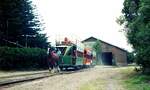 Victor Harbor Horse Tram__South Australia__3-Wagen-Zug der Pferdebahn in flotter Fahrt vom Depot zur Abfahrtstelle.__08-01-1989