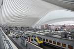 LIÈGE/LÜTTICH (Wallonie/Provinz Liège), 11.01.2018, Blick auf die Dachkonstruktion im Bahnhof Liège-Guillemins