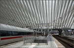 Beeindruckende Architektur -    Das beeindruckende Bahnsteigdach des spanischen Architekten Santiago Calatrava in Liège-Guillemins.