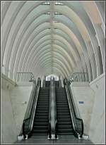 Die Rolltreppe im Bahnhof Lige Guillemins war am 28.03.10 fr einen Augenblick menschenleer. (Jeanny)