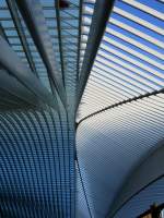 Liège-Guillemins - das Dach des Neuen Bahnhofs entworfen vom spanischen Star-Architekten Santiago Calatrava am 8.12.2008 fast ein Jahr vor der offiziellen Eröffnung.