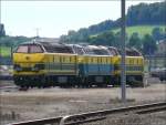 Diese 3 Diesel Loks der BR 55 waren am 12.07.08 im Bahnhof von Montzen abgestellt.