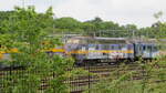Die Lokomotive HLD 62 mit der Nummer 6705, die heute Railexperts geh�rt, blickt auf eine ziemlich turbulente Geschichte zur�ck und ist an einem wenig erfreulichen Ort gelandet. Nach ihrem Einsatz in Belgien gelangte sie in den Besitz von Husa – zu diesem Zeitpunkt war sie bereits durch ihre Zeit bei der NMBS stark abgenutzt. Urspr�nglich trug die Lokomotive bei der NMBS die Nummer 6393; nach der Insolvenz von Husa ging sie an Railexperts �ber. Derzeit steht sie in Amersfoort in einer langen Reihe von Z�gen – ohne klare Zukunft oder ein festes Ziel. Sie h�tte schon vor Jahren eine General�berholung ben�tigt, doch dazu ist es nie gekommen; dementsprechend befindet sie sich in einem schlechten Zustand, nachdem sie innerhalb des Rangierbahnhofs bereits an verschiedene Standorte verschoben wurde.
Fotografiert am 16.05.2026.
Aufgenommen in den Niederlanden, nicht in Belgien!!!
