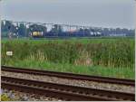 - Unterwegs in Noord-Brabant - Die beiden belgischen Dieselloks 7786 und 7869 ziehen am 02.09.2011 einen Gterzug unter den alten Oberleitungsmasten auf der Strecke Roosendaal- Dordrecht, bevor sie