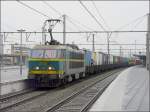 E-Lok 2013 durchfhrt am 27.02.09 mit einem langen Containerzug am Haken den Bahnhof von Brugge.