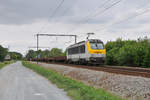 Während anderswo die Sonne schien, lag am 31. Mai über dem Norden Belgiens eine geschlossene dicke Wolkendecke. Hier Lineas 1333 in Hever auf der Linie 53 in Richtung Leuven.