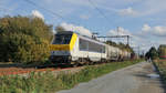 Lineas 1316 mit einem gemischten Güterzug am 24.10.2019 in Hever auf dem Weg in Richtung Mechelen.