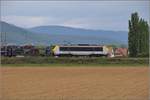 Bahn im Elsass. Bei Raedersheim zieht die belgische 1344 mit einem Autozug gen Norden. April 2017.