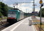 Die Cobra 2831 kommt als Lokzug aus Aachen-West nach Köln-Grmeberg und kommt aus Richtung Aachen-West,Aachen-Schanz,Aachen-Hbf,Aachen-Rothe-Erde,Aachen-Eilendorf und fährt durch