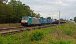 Die Cobra 2831 der belgischen Staatsbahn (186 223) führte am 17.08.19 einen Güterzug durch Raguhn Richtung Dessau.