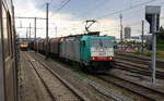 Die Cobra 2837 steht mit einem Coilzug aus Kinkempois(B) nach Landshut(D). 
Aufgenommen aus dem IC 5386 von Maastricht(NL) nach Hasselt(B). 
In Bressoux(B). Bei Gewittergefahr am Nachmittag vom 15.6.2017.