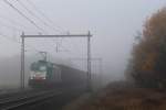 2831 E 186 223-4 mit Gterzug 46252 Gent (Belgien)-lmhult (Schweden) bei Holten (die Niederlande) am 19-11-2012.