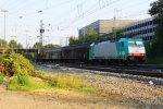 Die Cobra 2831 kommt aus Richtung Kln,Aachen-Hbf mit einem langen Papierzug aus Kln-Gremberg nach Zeebrugge(B) und fhrt in Aachen-West ein am einem schnem Sommerabend am 3.9.2013.