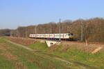 Belgiën
Triebzug 803 mit S41 4161 Charleroi-Central - Jambes, in Franière
14/2/2023